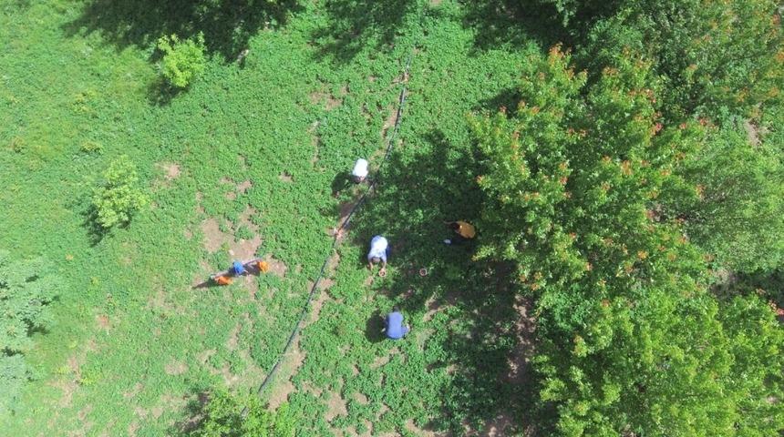 Sarıca &ccedil;ileğinin &uuml;n&uuml; Develi&rsquo;yi aştı