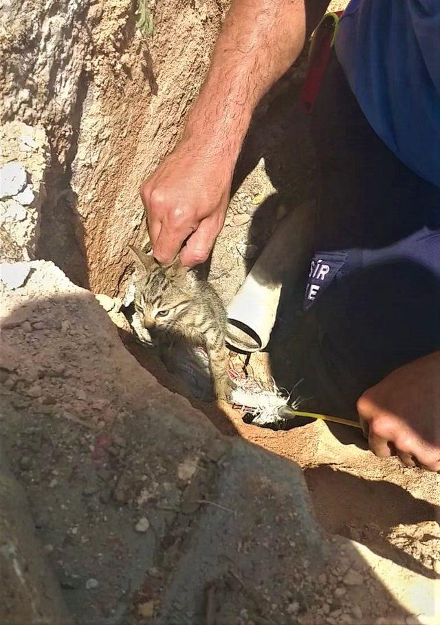 Su borusuna sıkışan yavru kedi, yeri kamerayla belirlenip, kurtarıldı