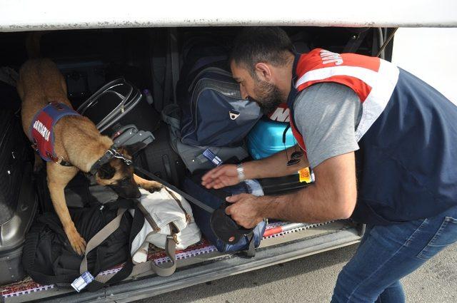 Jandarma, ’kıyı’ ile arama yaptı