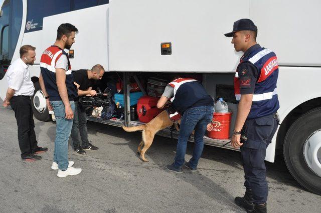 Jandarma, ’kıyı’ ile arama yaptı