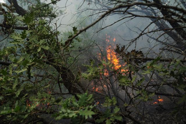 Çanakkale'de yıldırım düştü; 2 hektar alan yandı