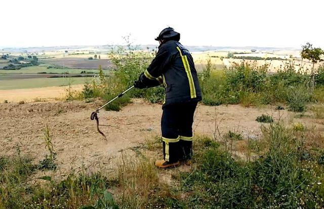 Tuvalete giren 2 metrelik yılan korkuttu