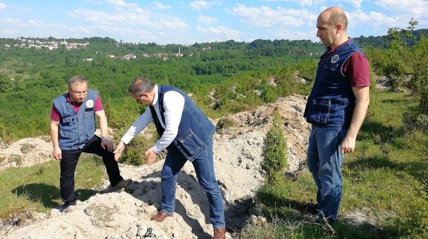 Bozuk orman arazisine gelir getirici t&uuml;r