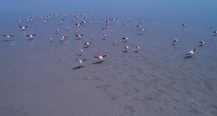 Türkiye'nin ikinci büyüğü! Korkutan uyarı geldi G4
