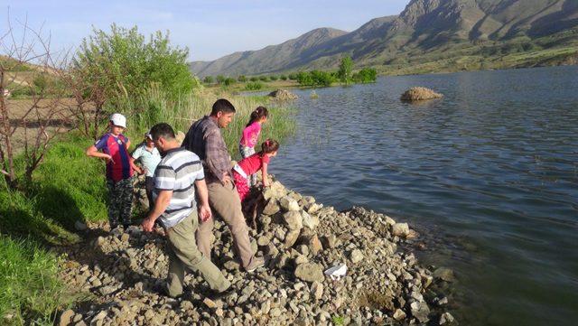 Sürgü Barajı'nda balık ölümleri ve koku tedirginliği