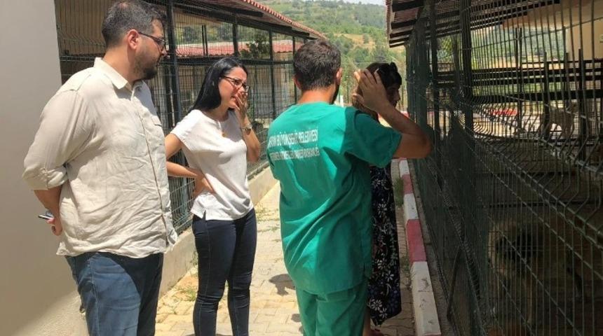 Mersin Barosu y&ouml;netimi, hayvan bakım evinde incelemelerde bulundu