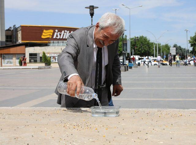 Şeyh Sait Meydanı’ndaki kuşlara düzenli yem ve su bırakılacak