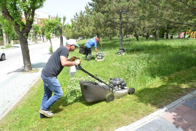 Boş arazilerde ve parklarda ot temizliği