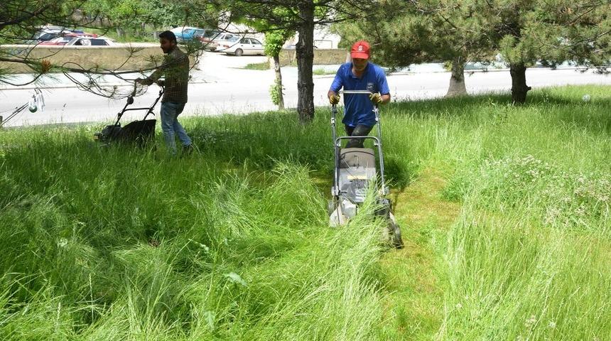 Boş arazilerde ve parklarda ot temizliği