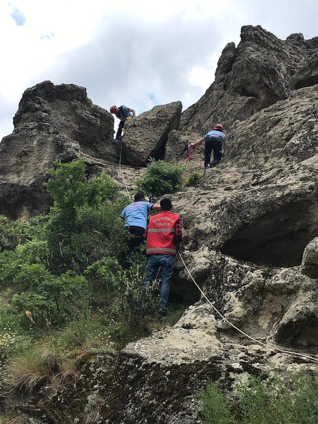 İtfaiyeciler, keçiyi kurtarmak için kayalıklara tırmandı