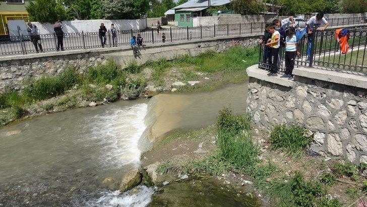 Uçan balıklar bu kez şehir merkezine göç etti G2