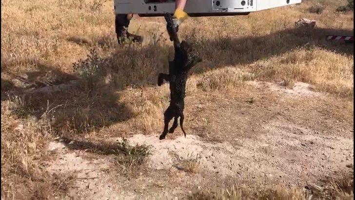 Bataklıktan böyle kurtarıldı G4