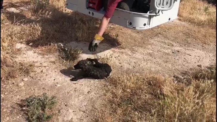 Bataklıktan böyle kurtarıldı G5