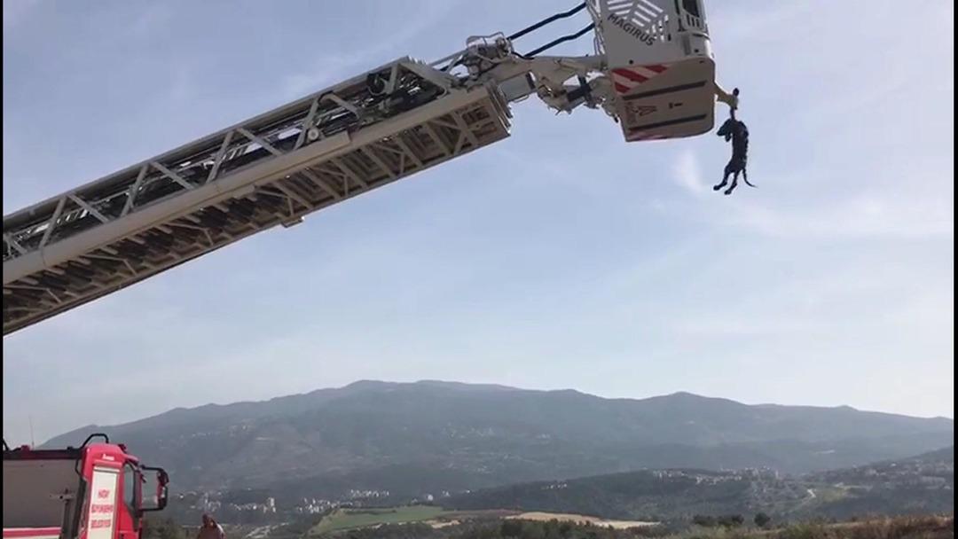 Bataklıktan b&ouml;yle kurtarıldı