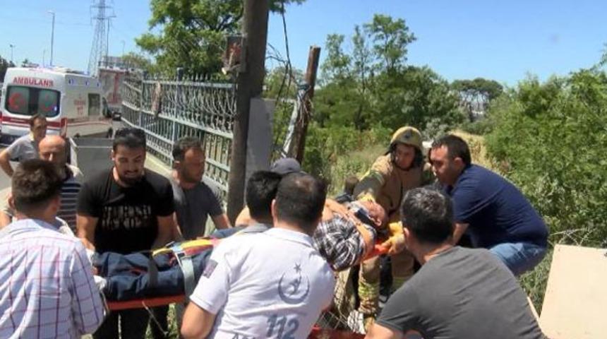Bahçede gördüklerine inanamadılar! Haberi alır almaz oraya koştular