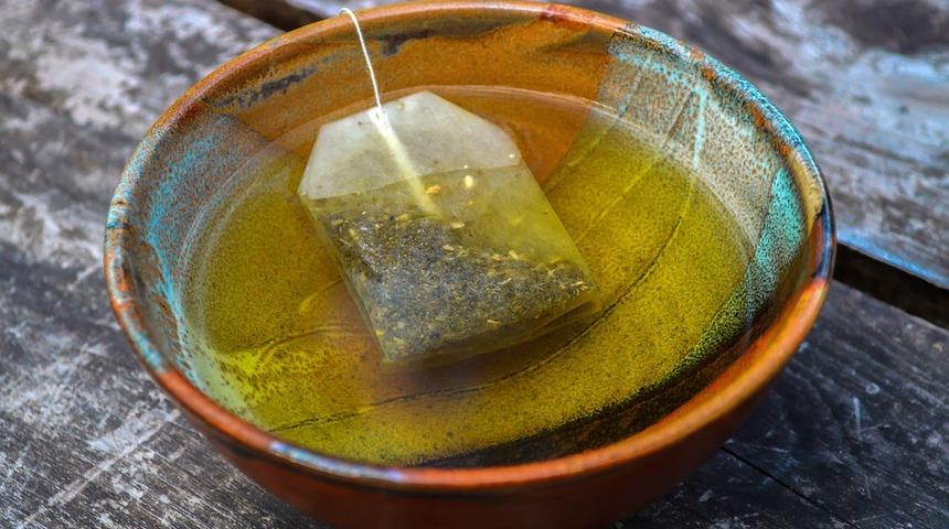 Sallama &ccedil;ayı bah&ccedil;eye g&ouml;m&uuml;n, mucizeye tanık olun!