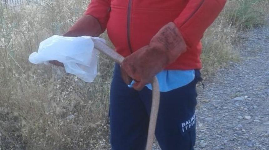 Burhaniye&rsquo;de itfaiyeden yılan operasyonu