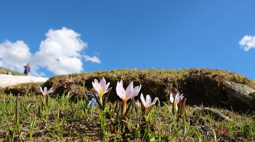 Ruhunuzu, bahar ışığına çevirin