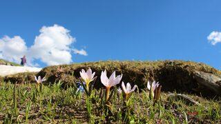 Ruhunuzu, bahar ışığına çevirin