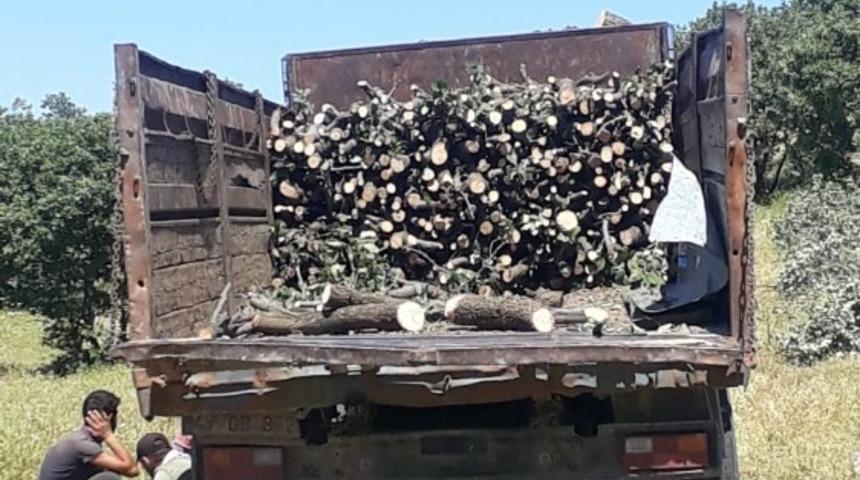 Mardin&rsquo;de ka&ccedil;ak odun kesen 13 kişi g&ouml;zaltına alındı