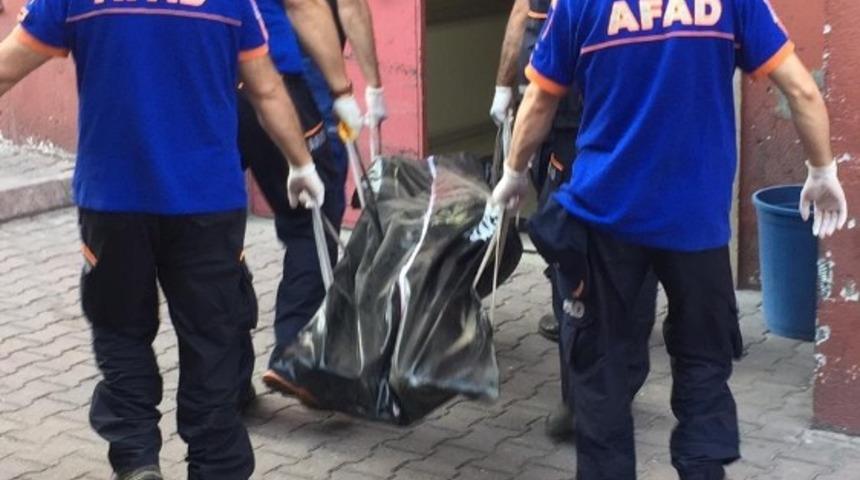 Afgan &ccedil;oban kayalıklarda &ouml;l&uuml; bulundu