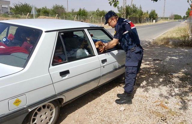 Şanlıurfa’da jandarmadan ceza yerine şeker