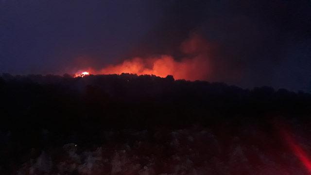 Finike'de orman yangını (2)