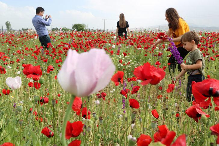Gören telefonuna sarıldı! Muhteşem G2