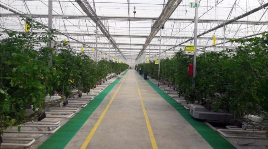 Teşvik kapsamına alınan jeotermal seracılık sektörünün yüzde 70 büyümesi bekleniyor