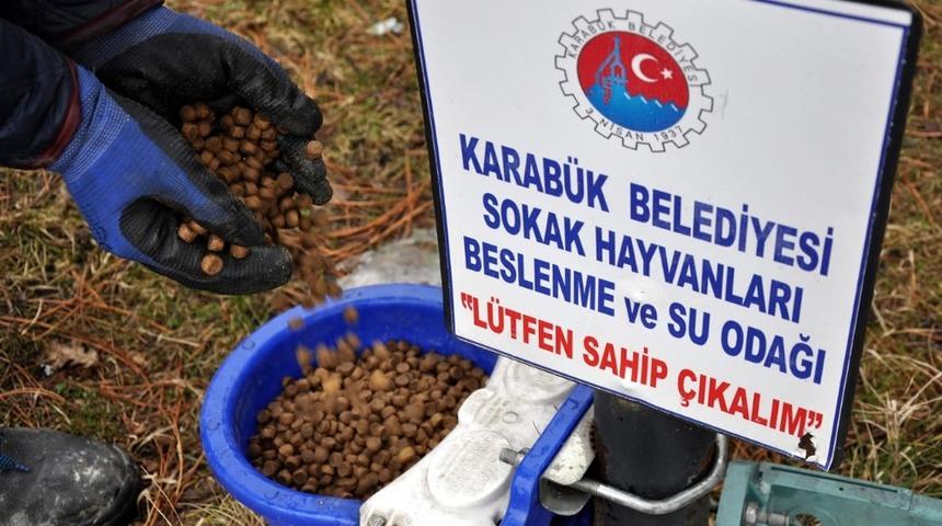 Belediye sokak hayvanlarını bayramda da unutmadı