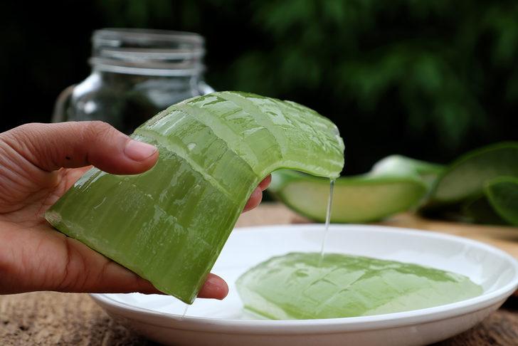 Aloe vera sürün, tıraş bıçağını bırakın! Cildi korumanın yolları G4