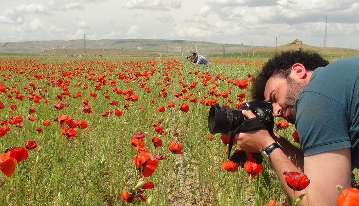 Süphan dağı ve gelincik çiçeklerinin muhteşem manzarası G3