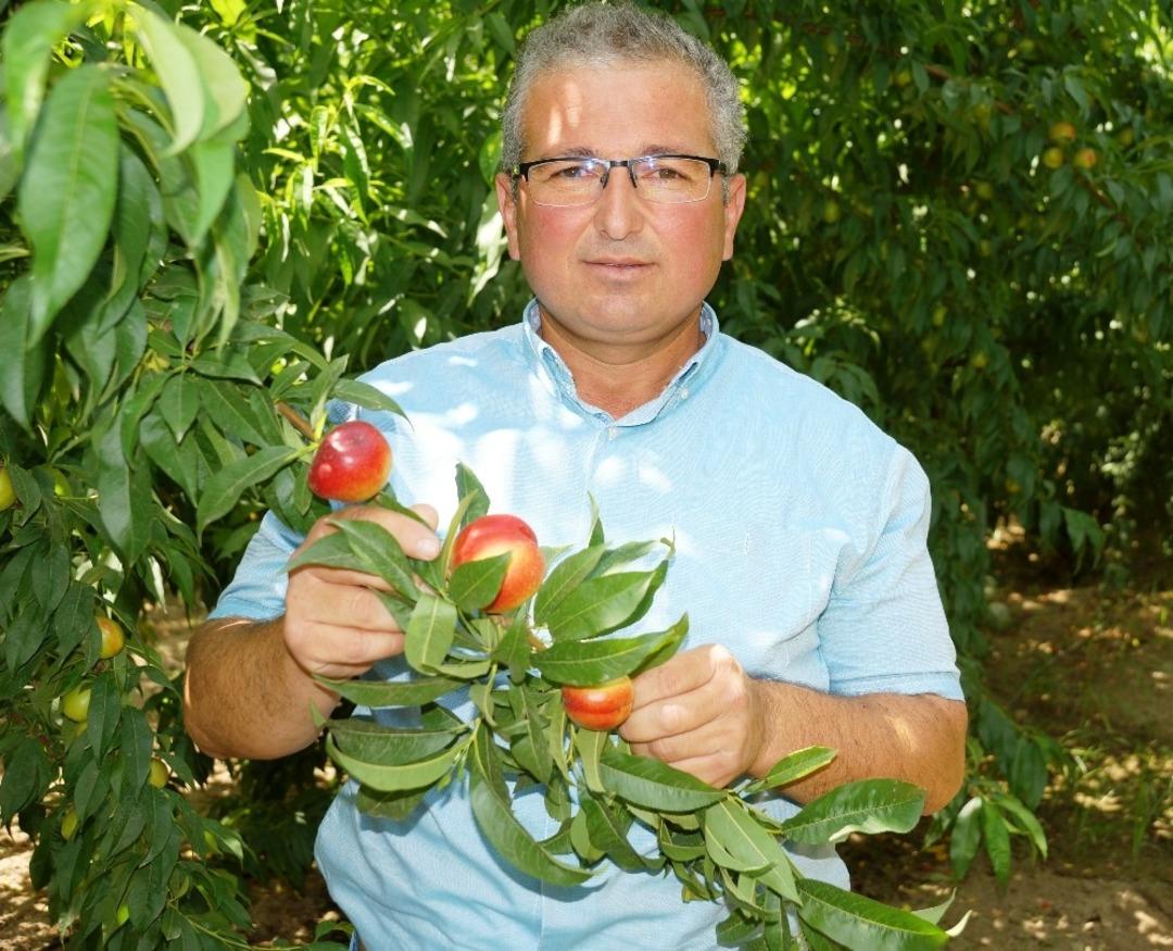 İnşaat sekt&ouml;r&uuml;nden ayrıldı, nektarin bah&ccedil;esi kurdu