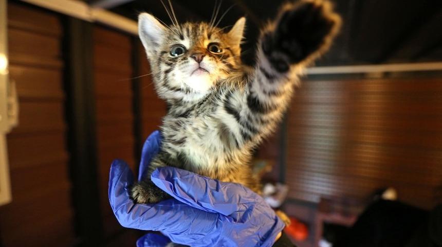 Miniklere en anlamlı karne