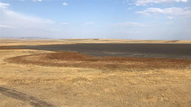  Kuyucuk Kuş Cenneti ni kurtarın  &ccedil;ağrısı 4