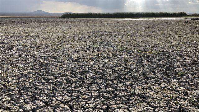 'Kuyucuk Kuş Cenneti'ni kurtarın' çağrısı