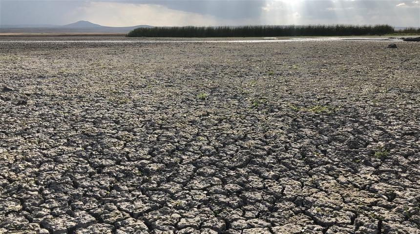 'Kuyucuk Kuş Cenneti'ni kurtarın' &ccedil;ağrısı