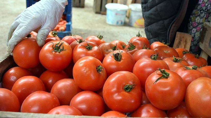 Türkiye domatesten 1 milyar dolar döviz hedefliyor