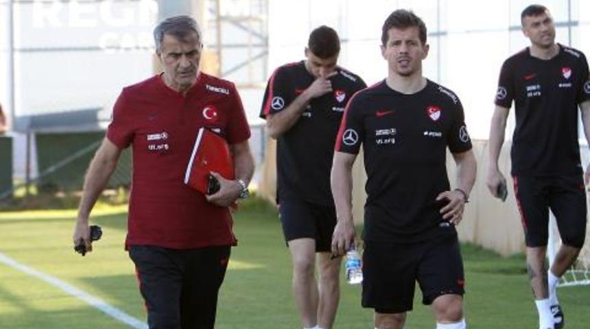 Emre Belözoğlu, A Milli forma ile "dalya" diyecek