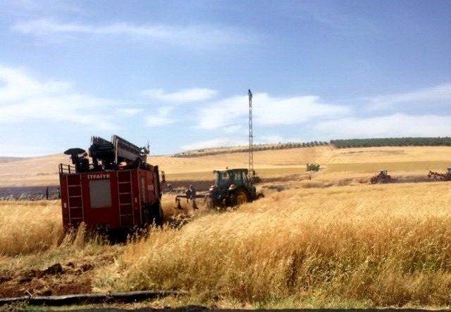 Besni’de arpa tarlası yandı