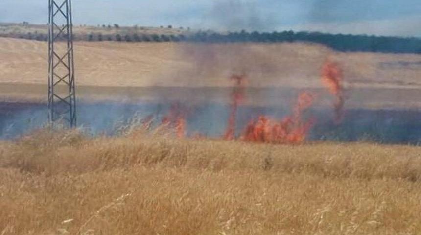 Besni&rsquo;de arpa tarlası yandı