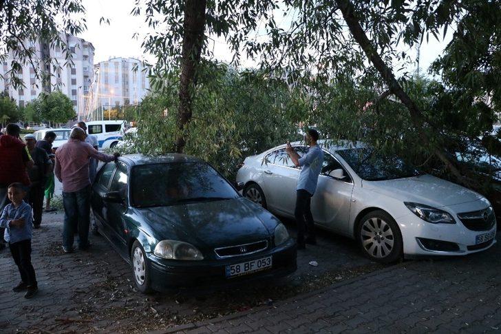 Kopan ağaç dalı üç araca zarar verdi G4