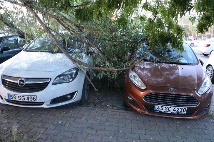 Kopan ağaç dalı üç araca zarar verdi G5