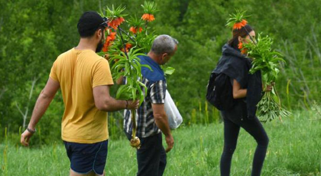Ters laleleri toplayanlara 180 bin lira idari para cezası