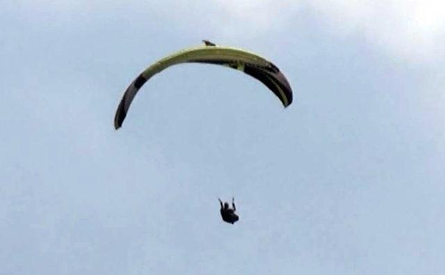 Yamaç paraşütçüsüne havada şahin saldırdı