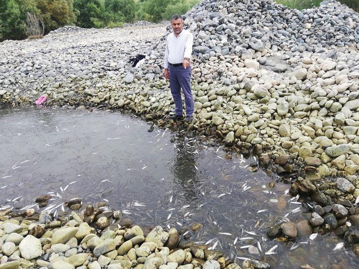 Korkunç tablo! Suya bakan hayrete düştü G2