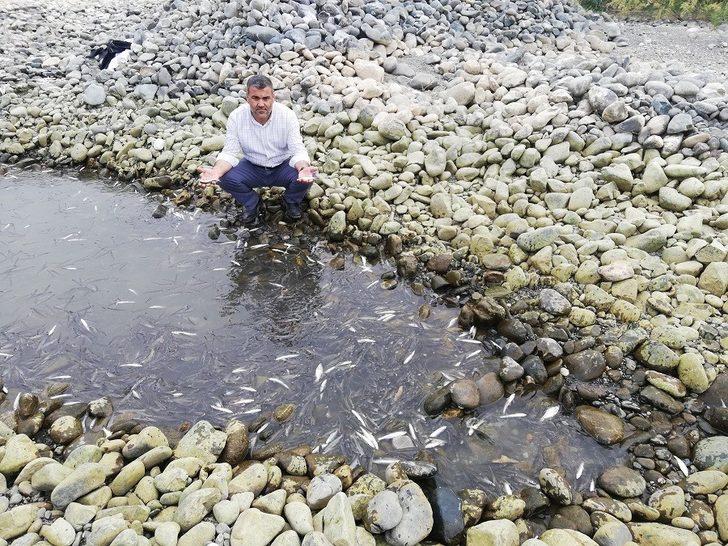 Korkunç tablo! Suya bakan hayrete düştü G3
