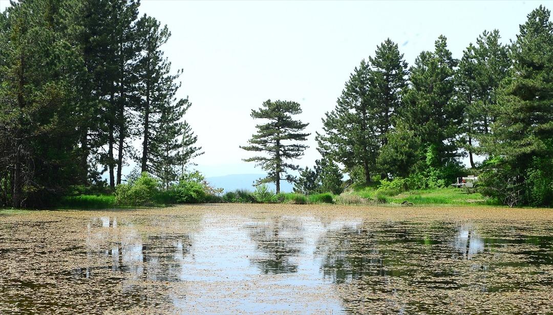 Uşak'ın gizli bah&ccedil;esi keşfedilmeyi bekliyor