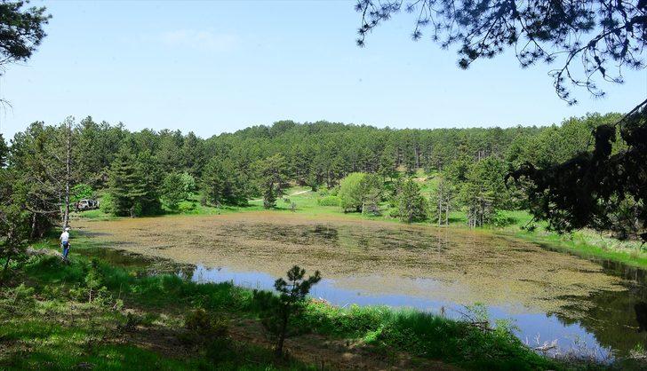 Uşak'ın gizli bahçesi keşfedilmeyi bekliyor G1