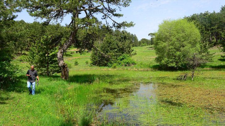 Uşak'ın gizli bahçesi keşfedilmeyi bekliyor G2